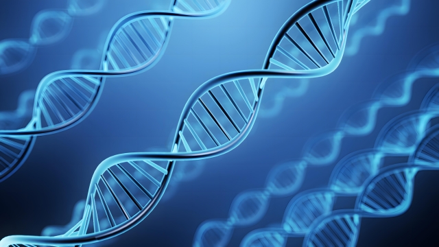 遺伝子のイメージ写真