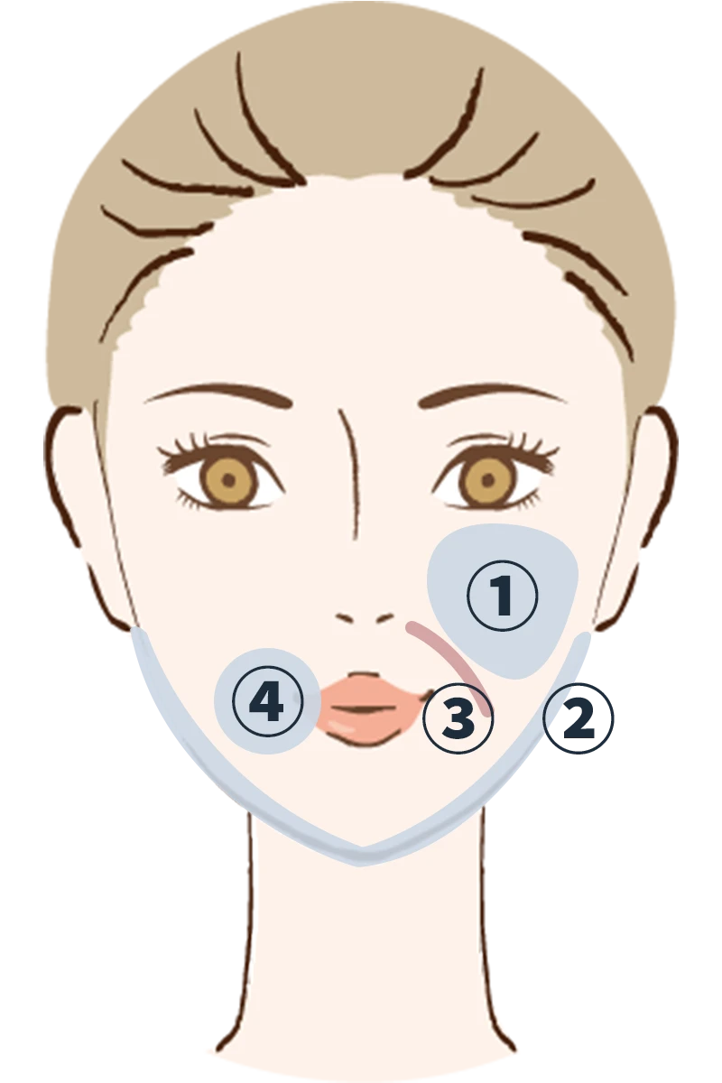 施術範囲の詳細イラスト