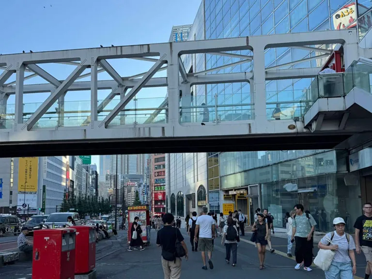 甲州街道沿いの歩道をまっすぐ直進する様子