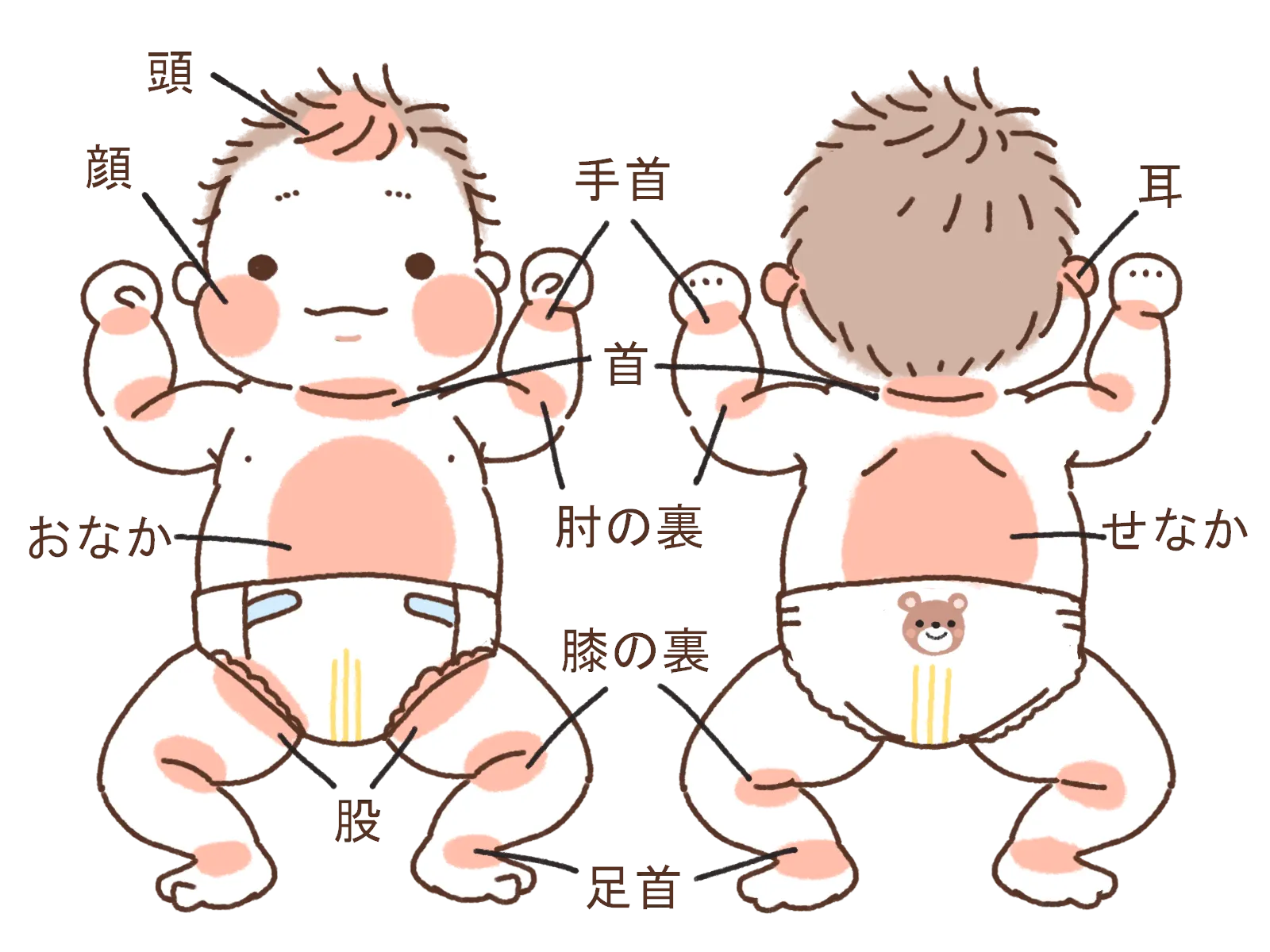 乳児のアトピー性皮膚炎症状が出やすい部位の図解イラスト