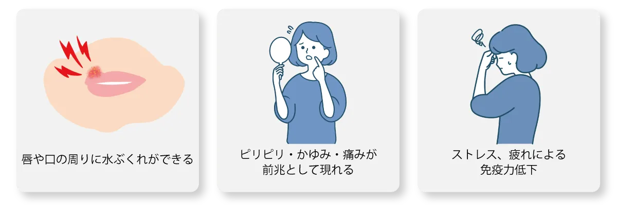 口唇ヘルペスの特徴：水ぶくれ、ピリピリ感、免疫力低下