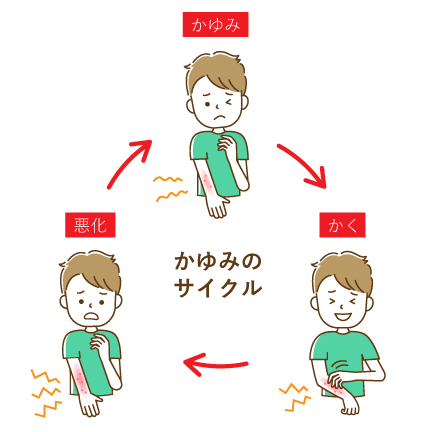 掻破ループのイラスト図