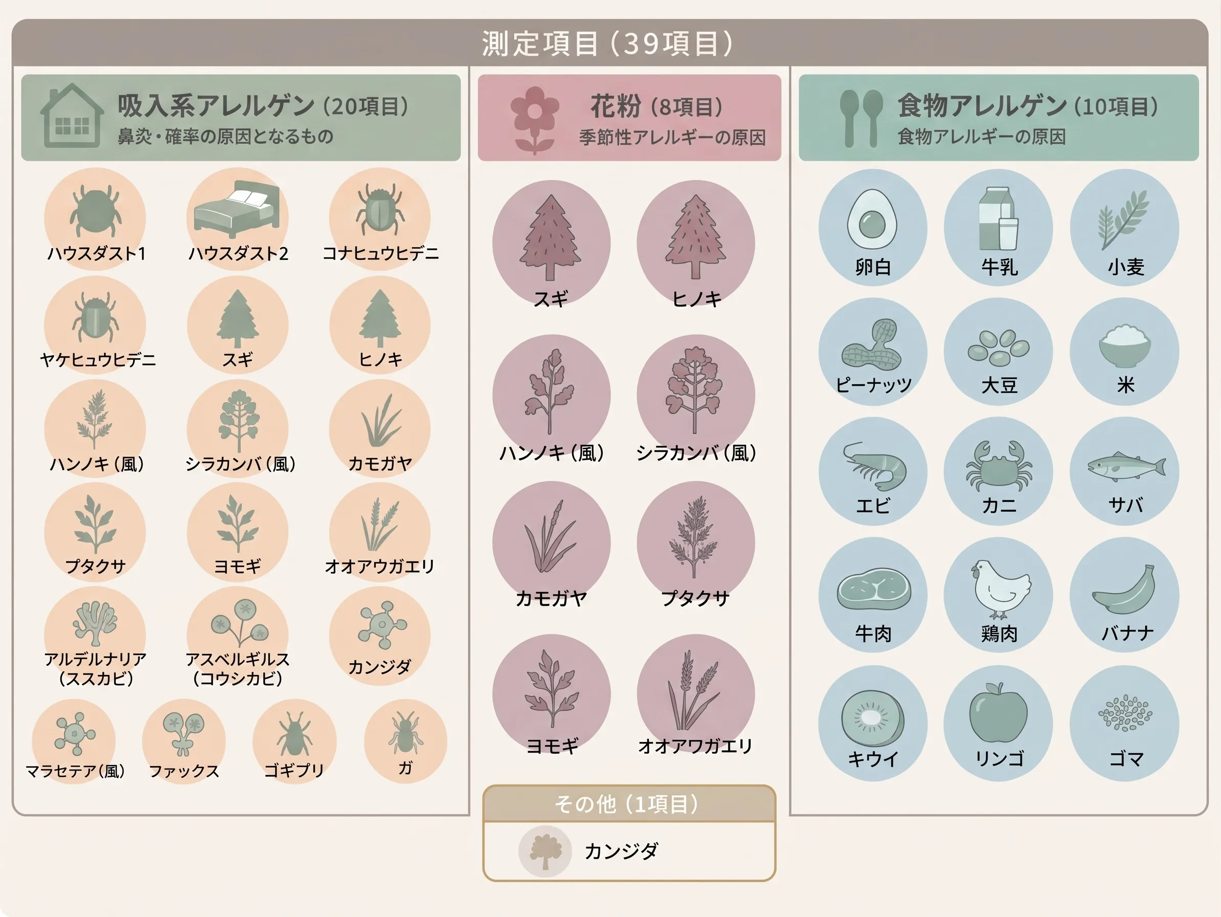 Viewアレルギー39の項目