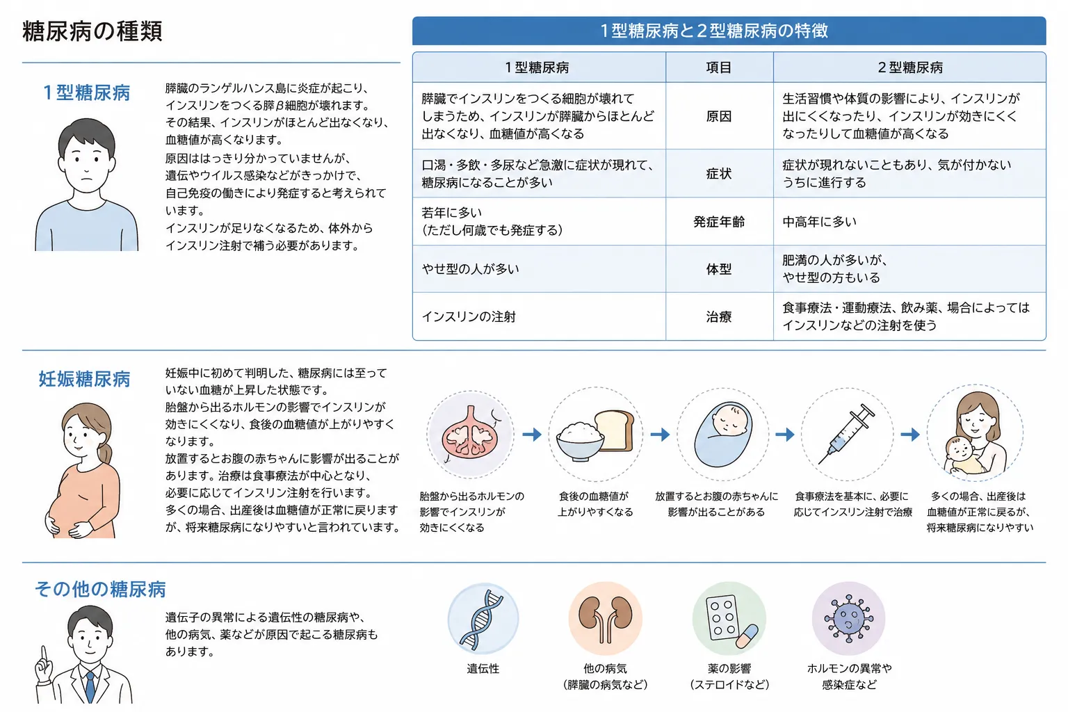 糖尿病の種類と特徴(1型・2型・妊娠糖尿病・その他の糖尿病)の比較一覧図