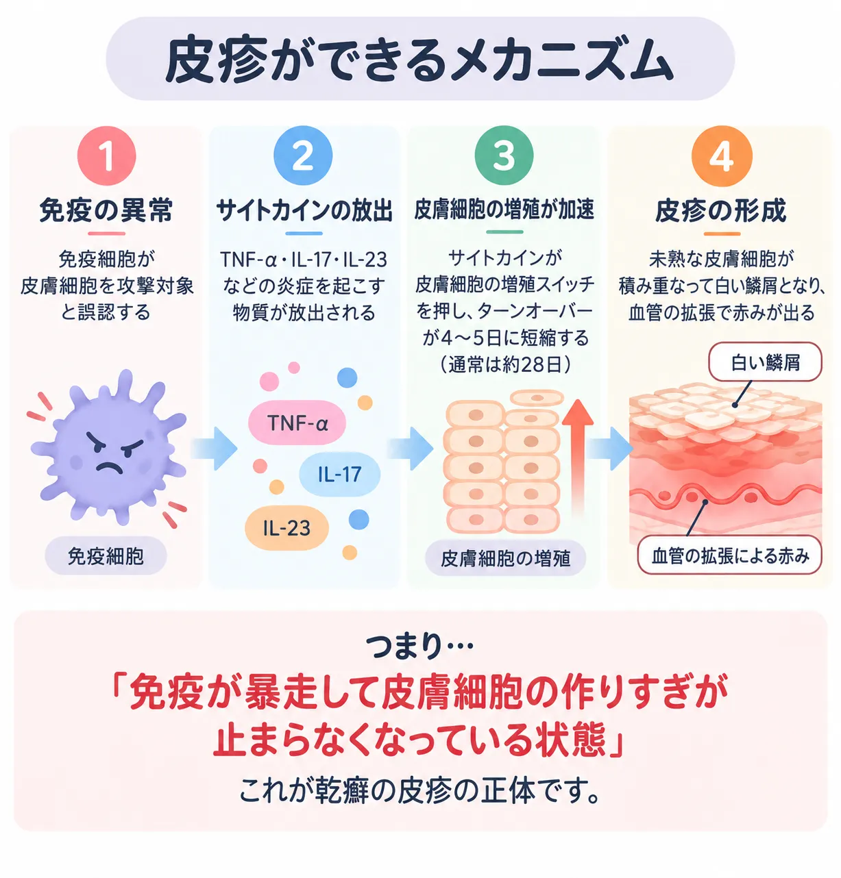 乾癬の皮疹ができるメカニズムを示した図