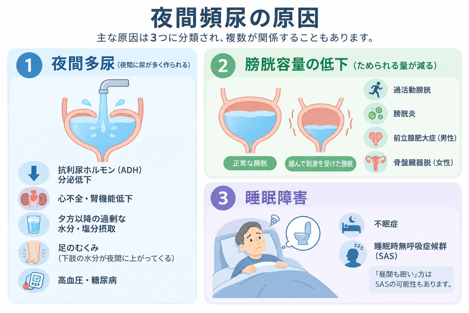 夜間頻尿の主な3つの原因（夜間多尿・膀胱容量の低下・睡眠障害）の解説図解